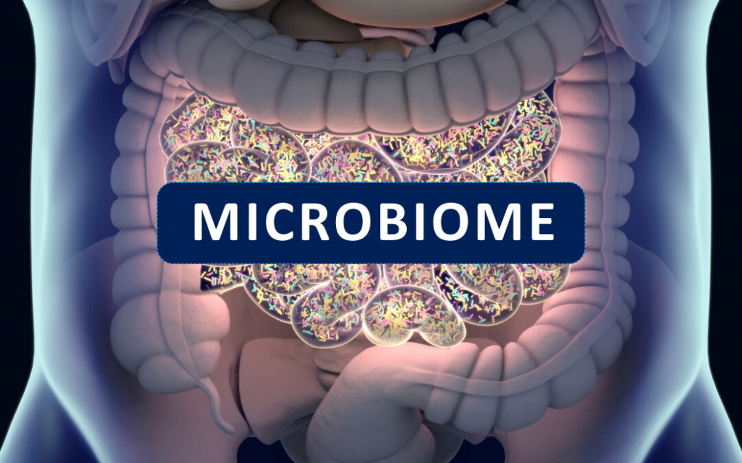 Prof. Nelson Gekara | The Guardians of the Gut: A New Frontier in the Defence Against Viruses