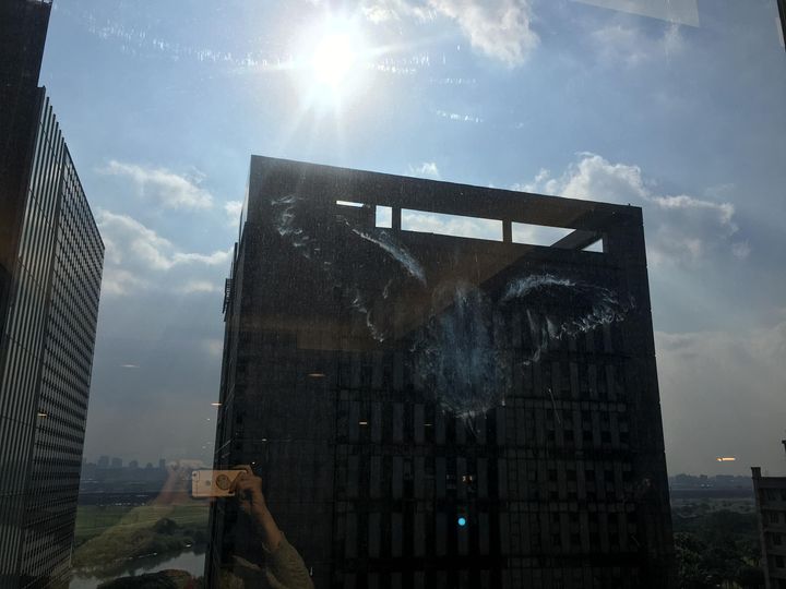 Chi-Heng Hsieh | Feathered Casualties and Digital Clues: How Citizen Science is Helping Save Birds from Deadly Collisions
