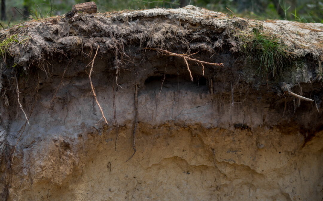 Professor Alex McBratney | Soil Security Starts Here: a Framework for the Future