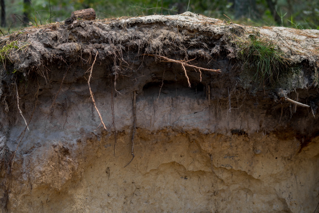 Professor Alex McBratney | Soil Security Starts Here: a Framework for the Future