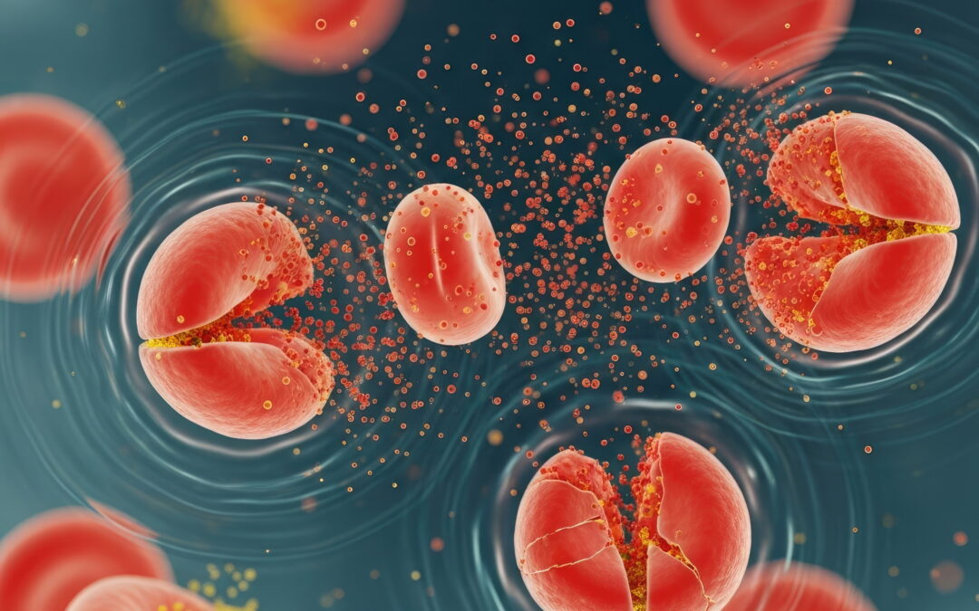 Dr. Jürgen Gailer | Linking the Blood Chemistry of Metals with Adverse Human Health: New Tools Reveal an Invisible World