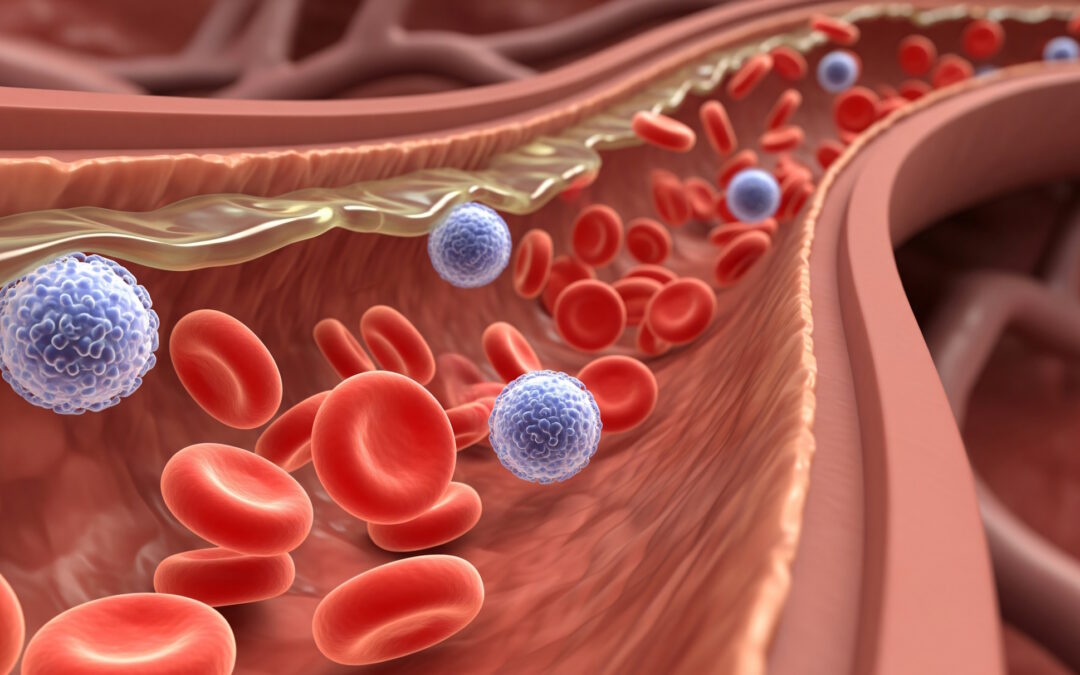 Prof. Jim Oates | When Blood Vessels Speak: How Lupus Turns the Body’s Gatekeepers into Active Messengers of Inflammation