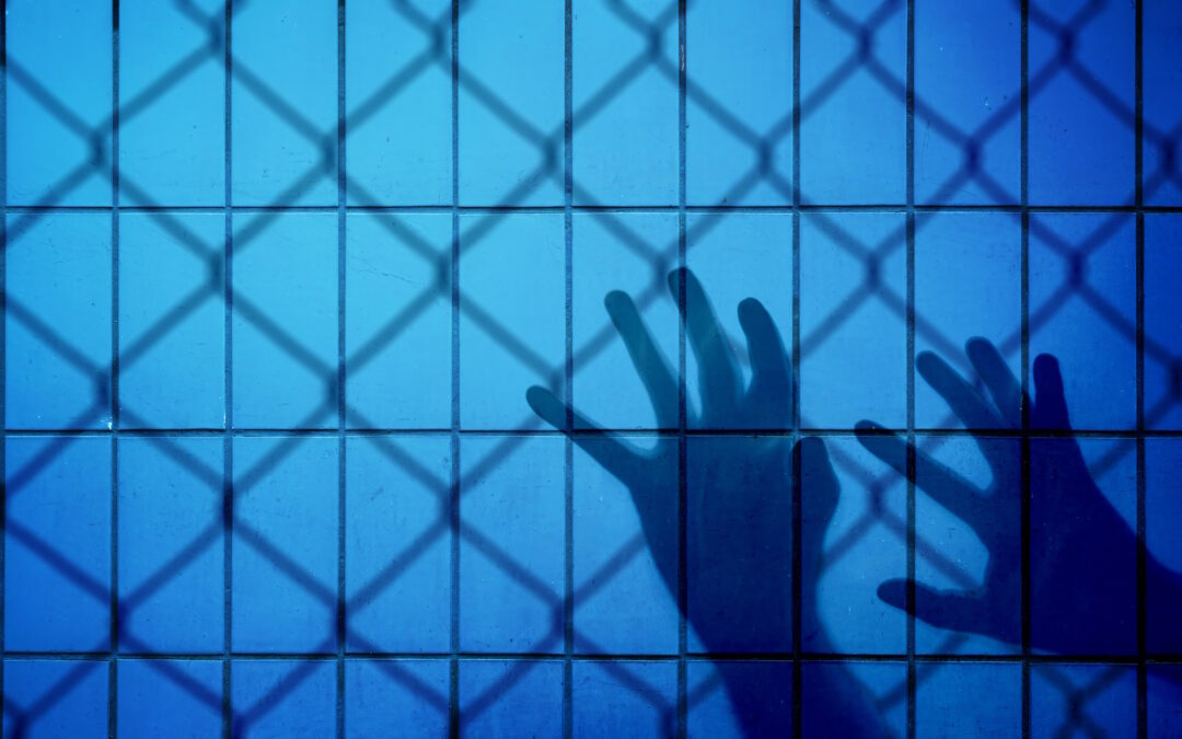 Prof. Letitia Pienaar | The Long Journey Toward Mental Health Rights in South Africa
