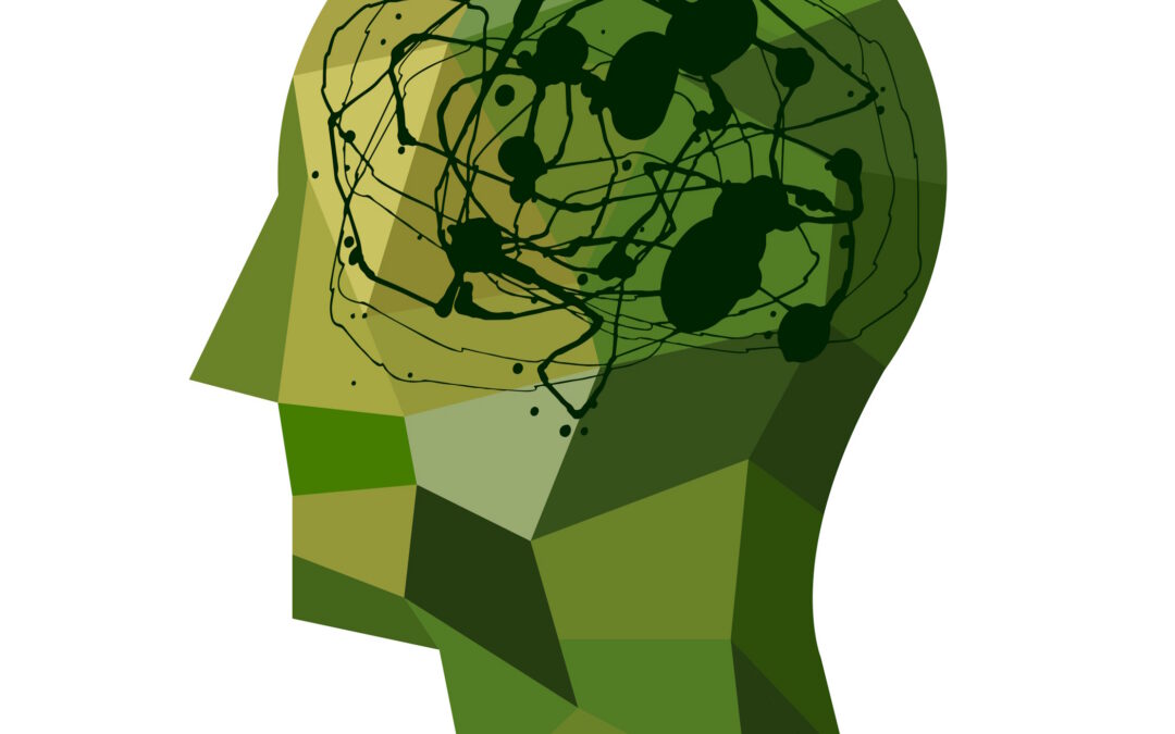 Prof. James Meabon | Invisible Wounds, Visible Signals: Finding Brain Signals of Military Blast