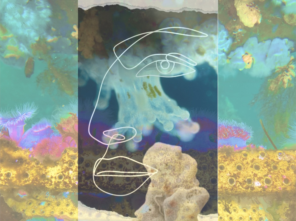 Prof. Marjorie Wonham | The Power of Crossing Disciplines: How Blending Arts and Sciences Transforms Education