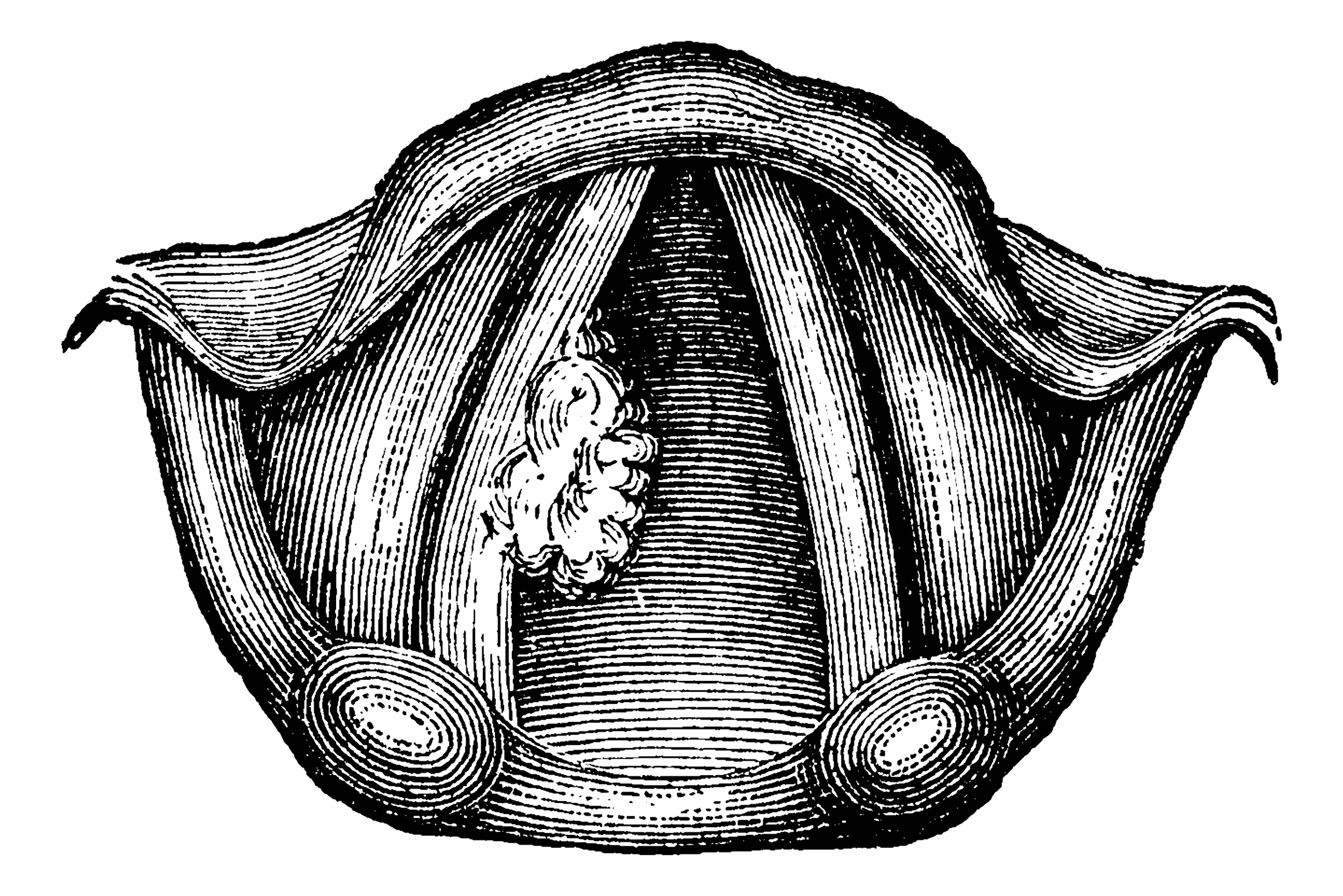 Prof. Dr. Dietmar Thurnher | From Silence to Survival: 150 Years of Laryngectomy and the Future of Voice